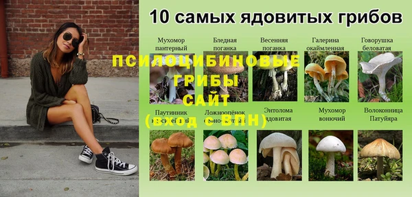 винт Баксан