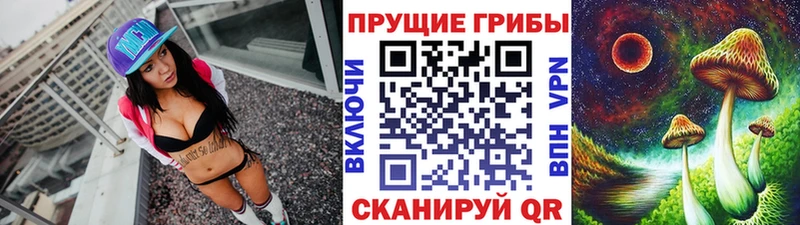 Псилоцибиновые грибы мицелий  Новопавловск 
