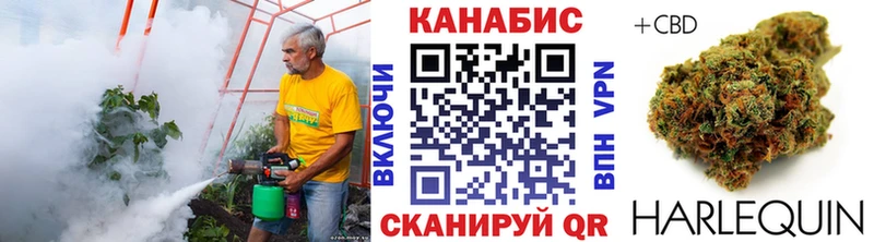 МАРИХУАНА конопля Новопавловск